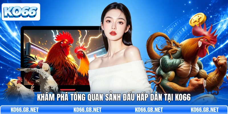 Khám phá tổng quan sảnh đấu hấp dẫn tại KO66