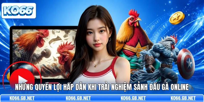 Những quyền lợi hấp dẫn khi trải nghiệm sảnh đấu gà online